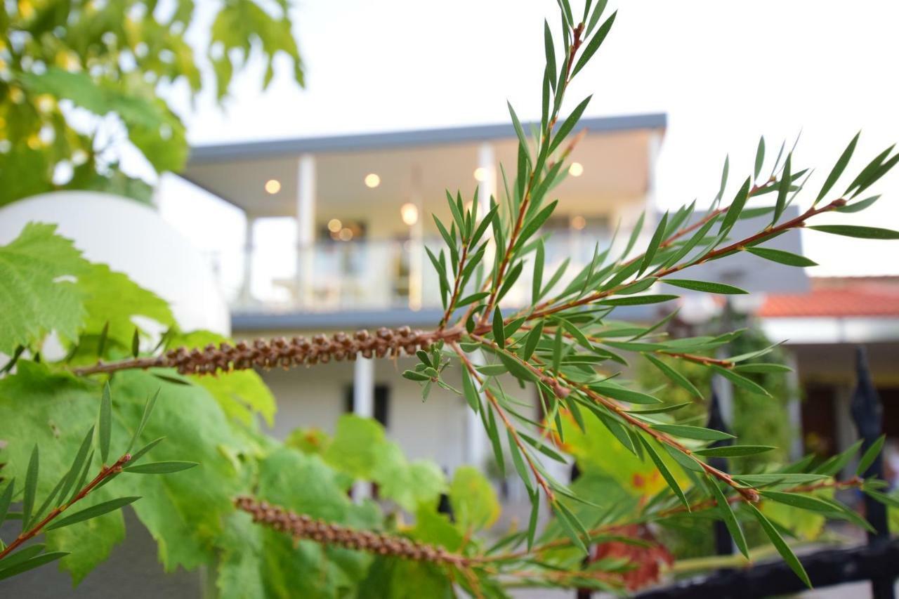 Vista Luxury Suites Toroni Halkidiki 1Br Dış mekan fotoğraf